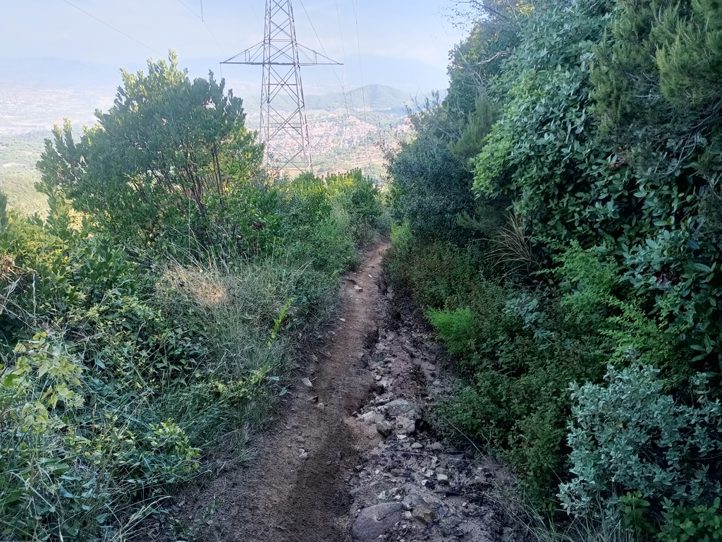 Descenso facilito para ir con la bici... ¿no?