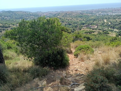 Vista de parte de Santa Coloma de Gramenet desde una colina